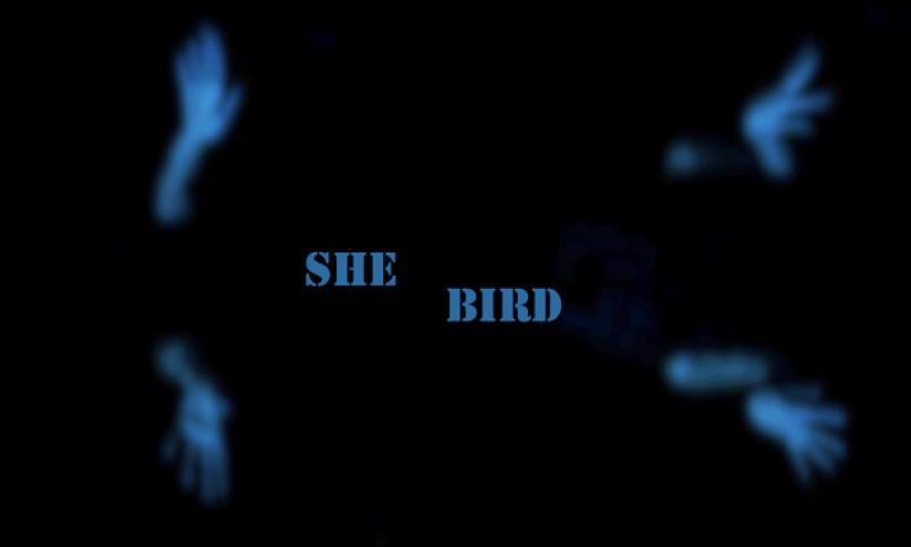 She Bird