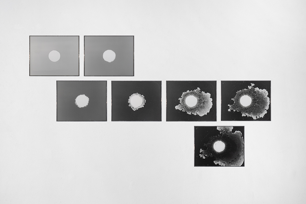 Vincent Lemaire