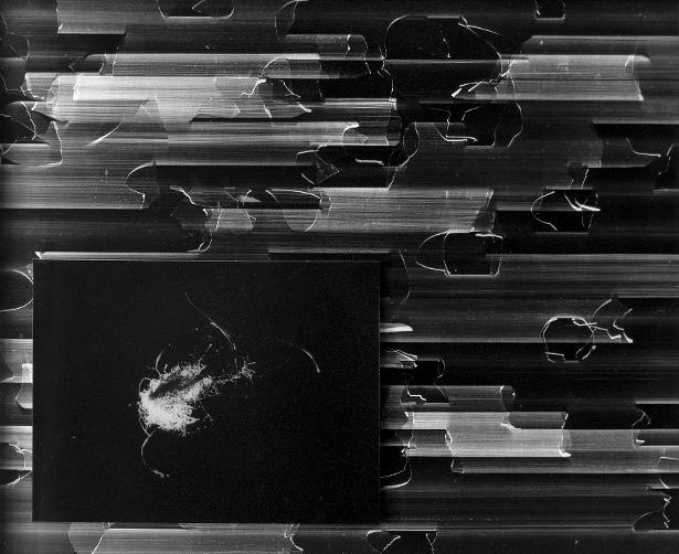Vincent Lemaire