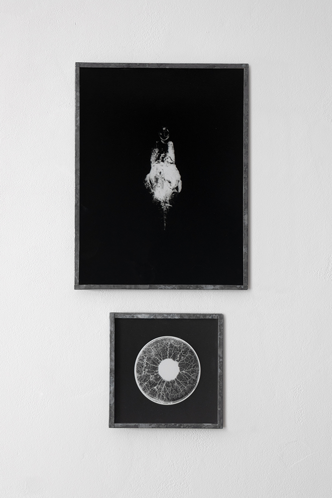 Vincent Lemaire