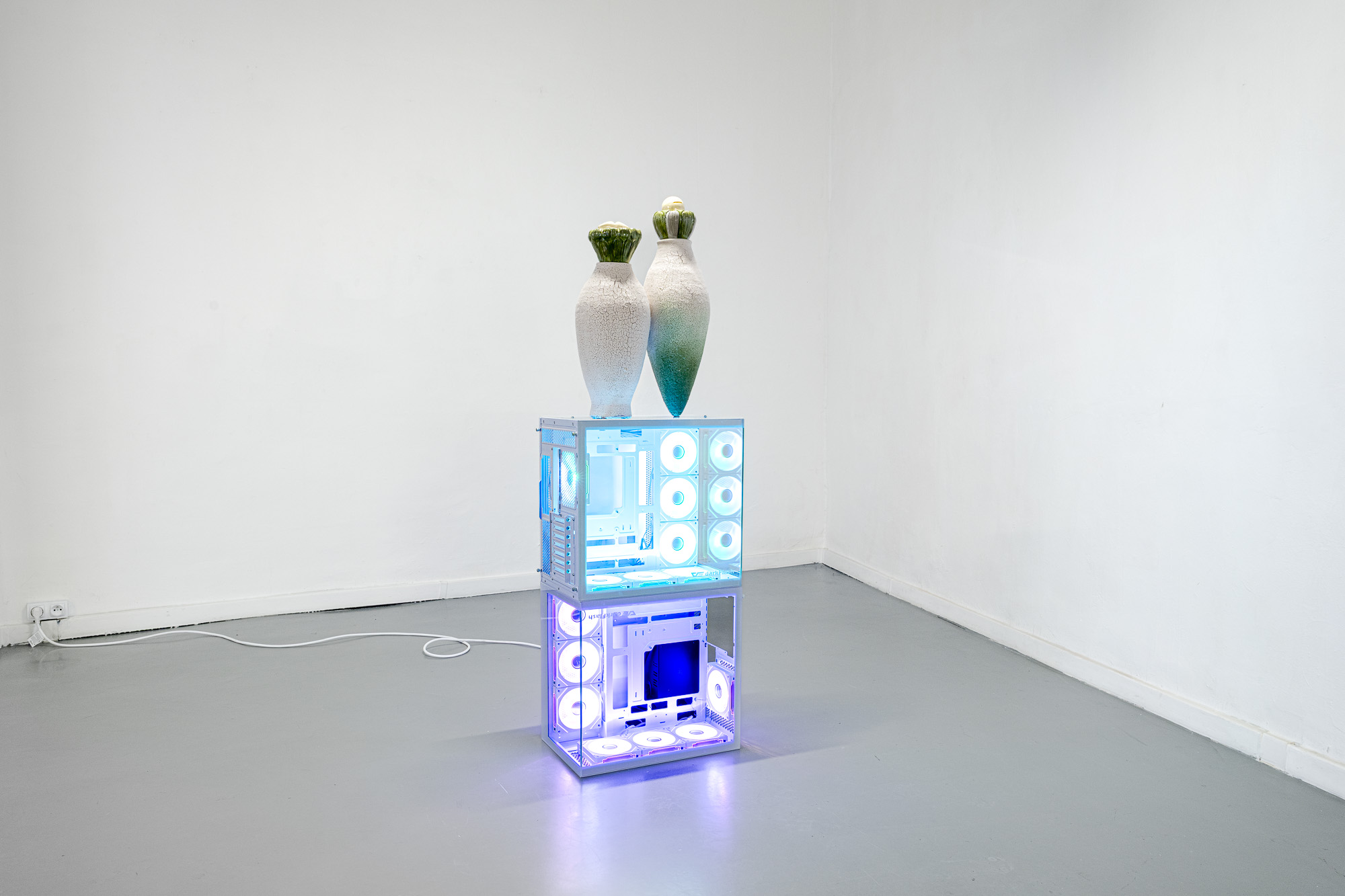 Shekel & Anubis Agency