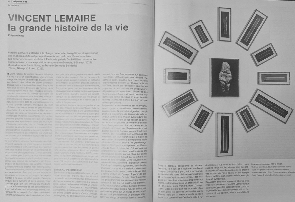 Vincent Lemaire - La grande histoire de la vie